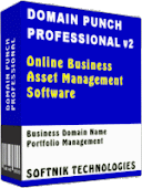Bisnis Online Profesional
