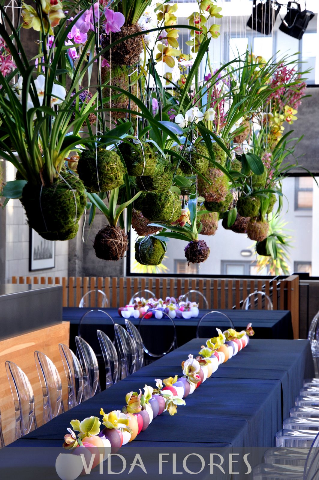 Vida Flores Orchid String Garden