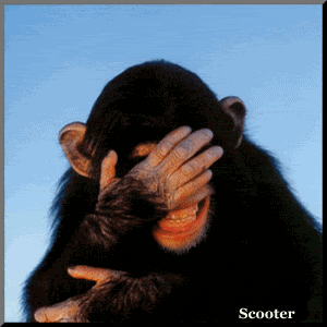 gambar-monyet-lucu-.gif.gif