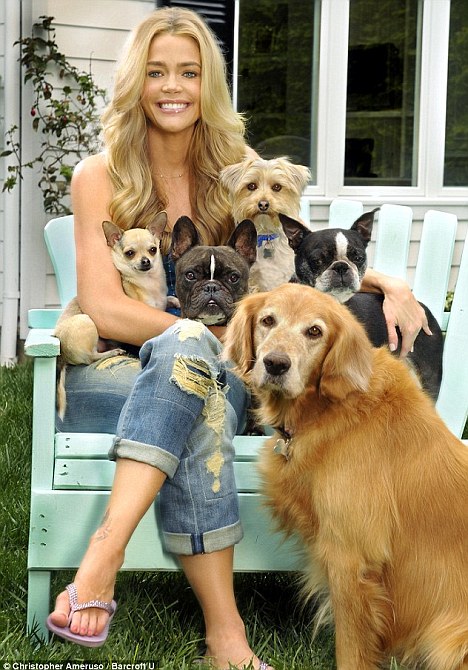 Dog lover: Richards and a charlie sheen wife denise richards. Dog lover: Richards and a