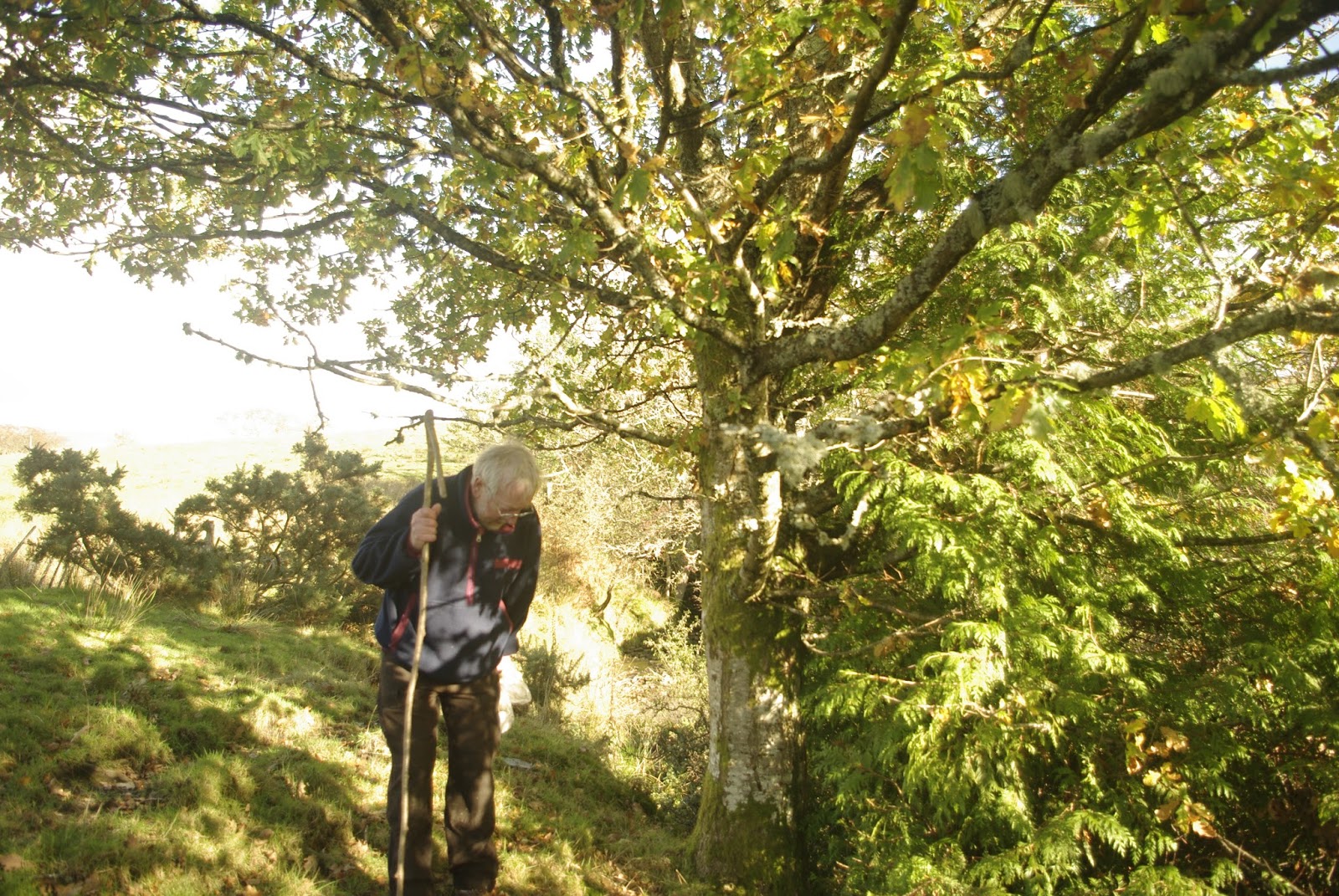 muirs north face backpack