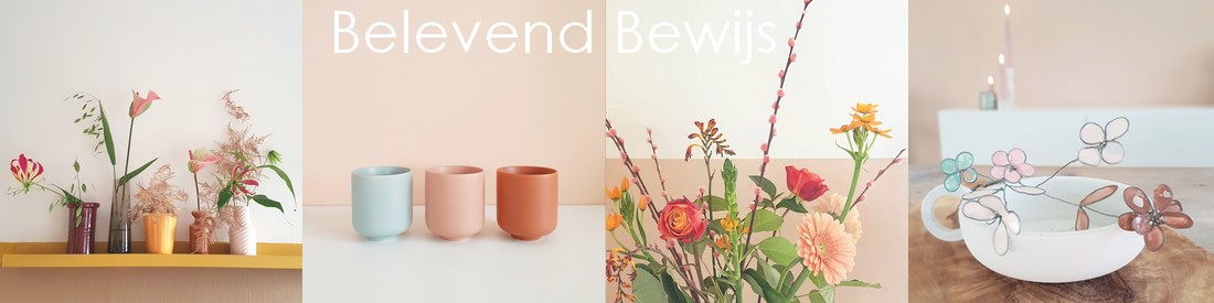 Belevend Bewijs