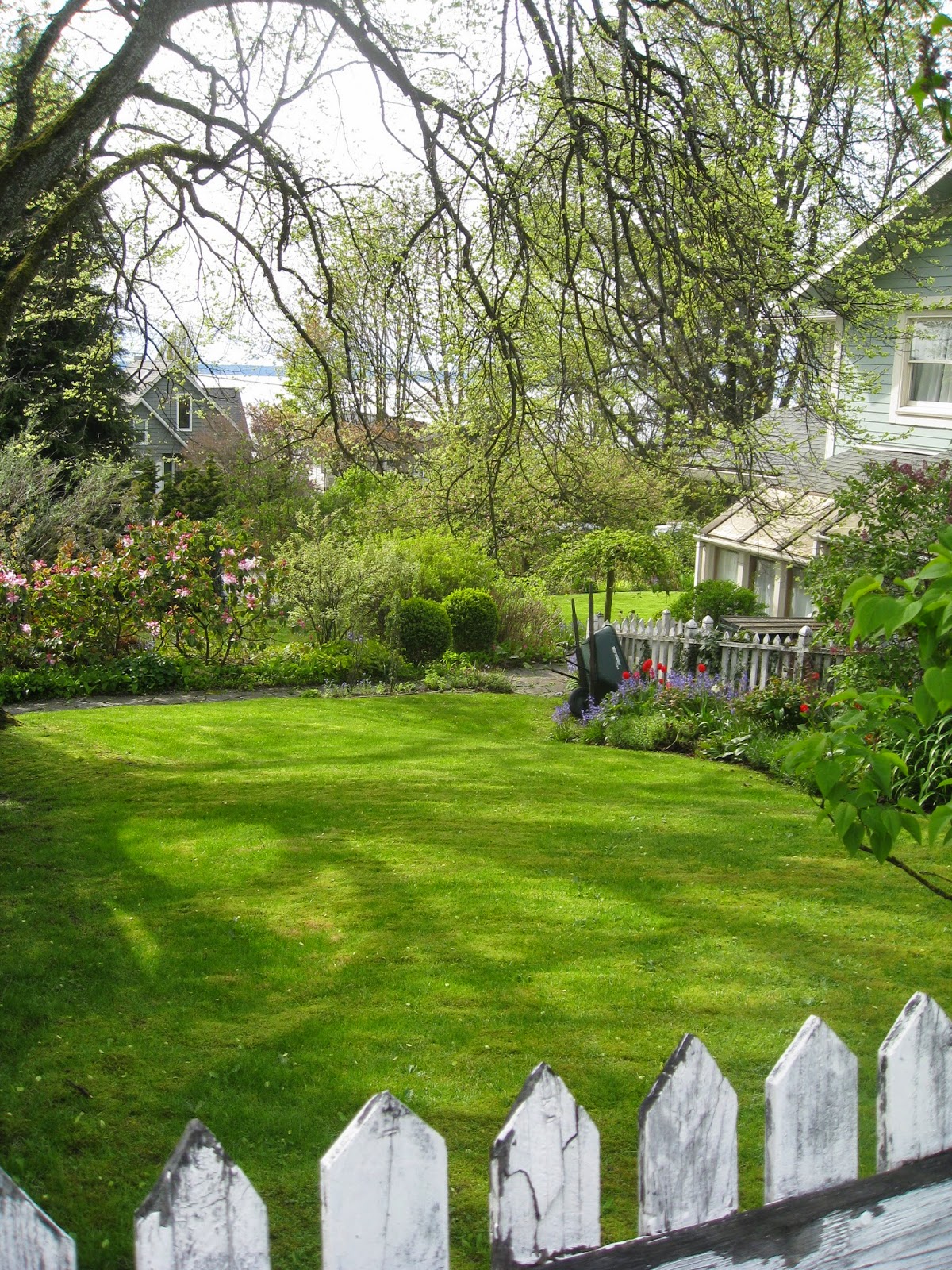 LaVera's Garden