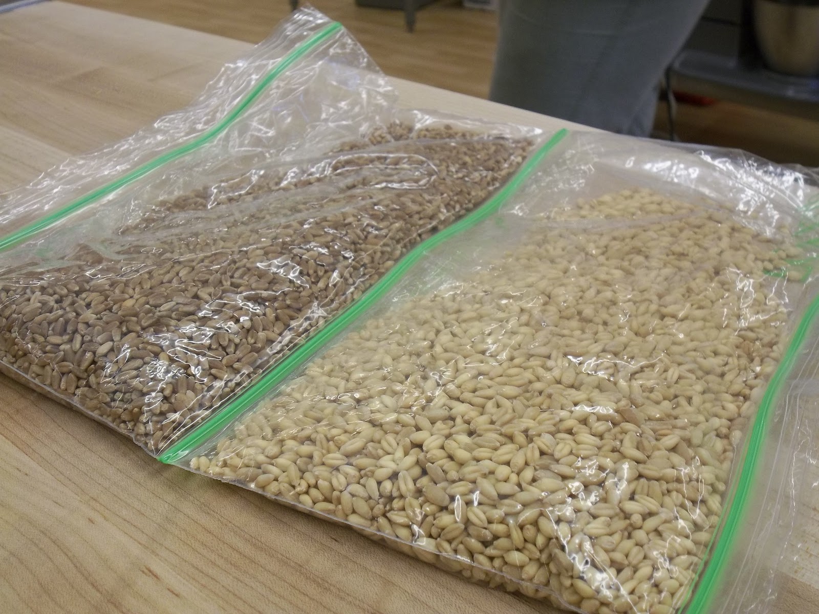 Lunches Fit For a Kid King Arthur Flour Blog & Bake 2012 Part 3