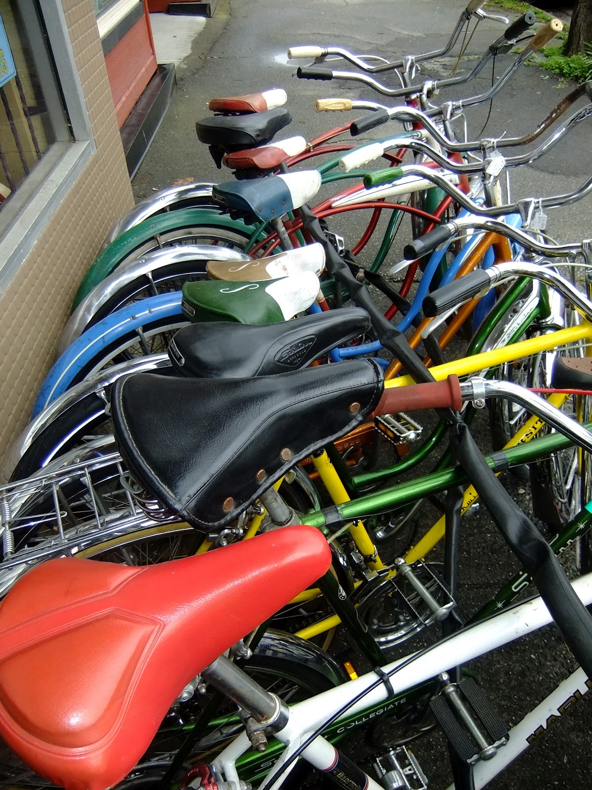 cedar bike shop