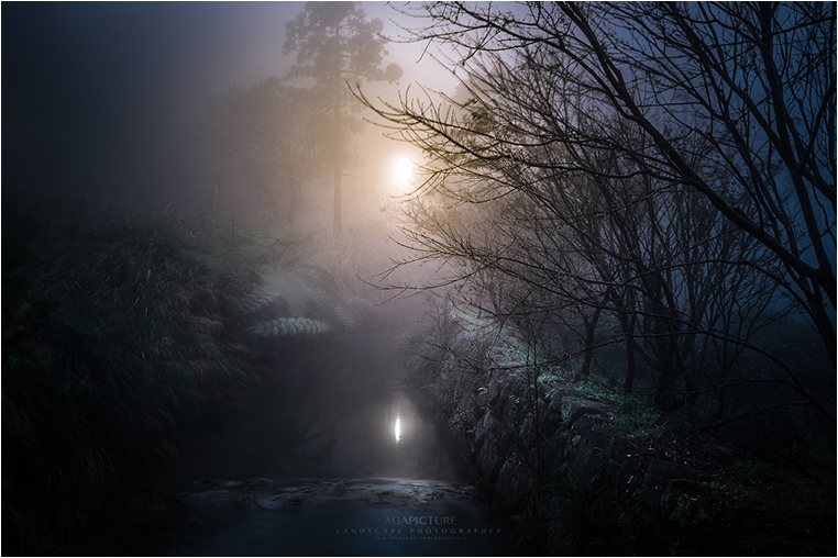 Emerging Photographers, Best Photo of the Day in Emphoka by Aga Picture Emerging Photographers, Best Photo of the Day in Emphoka by Aga Picture