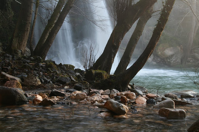 DESPRÉS DE LA PLUJA