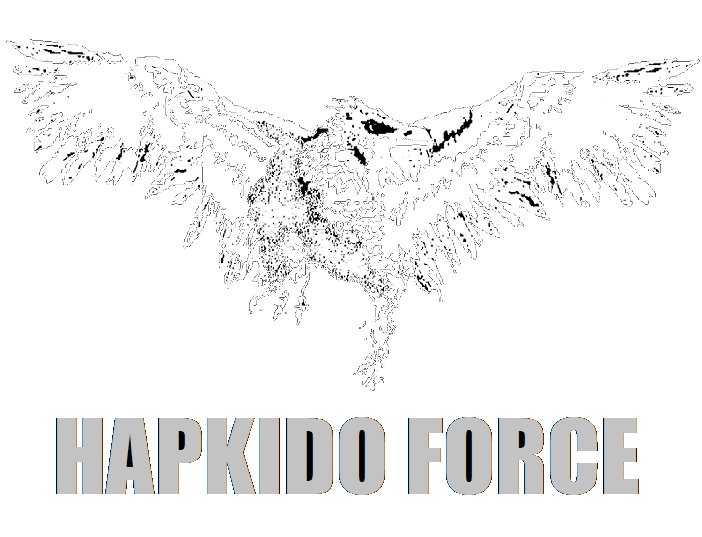 Hapkido Force Original