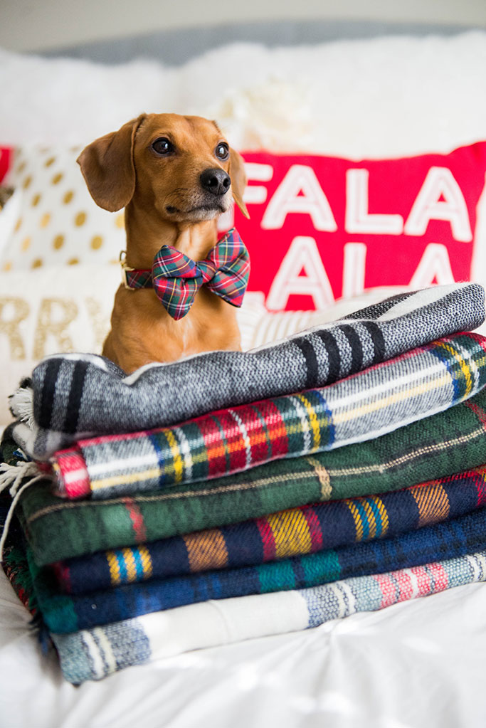 VIDEO HOW TO WRAP A BLANKET SCARF Alyson Haley