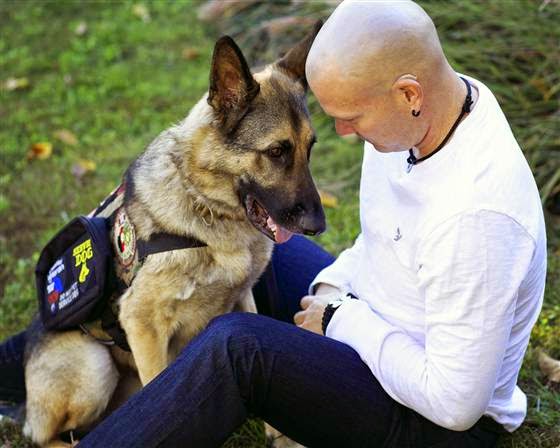 Three Counties Dog Rescue V Hmrc Three Counties Dog Rescue V Hmrc
