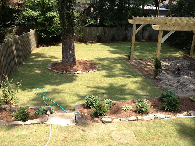 the good stuff: BACKYARD PROJECT: update #3