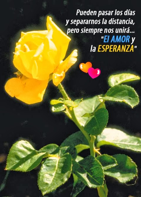 imagenes con frases de amor