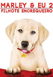 Capa do Filme Marley e Eu 2: Filhote Encrenqueiro (Dublado) Baixe imagem de Marley e Eu 2: Filhote Encrenqueiro (Dublado) sem Torrent