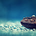 Water drops on coffee bean macro wallpaper