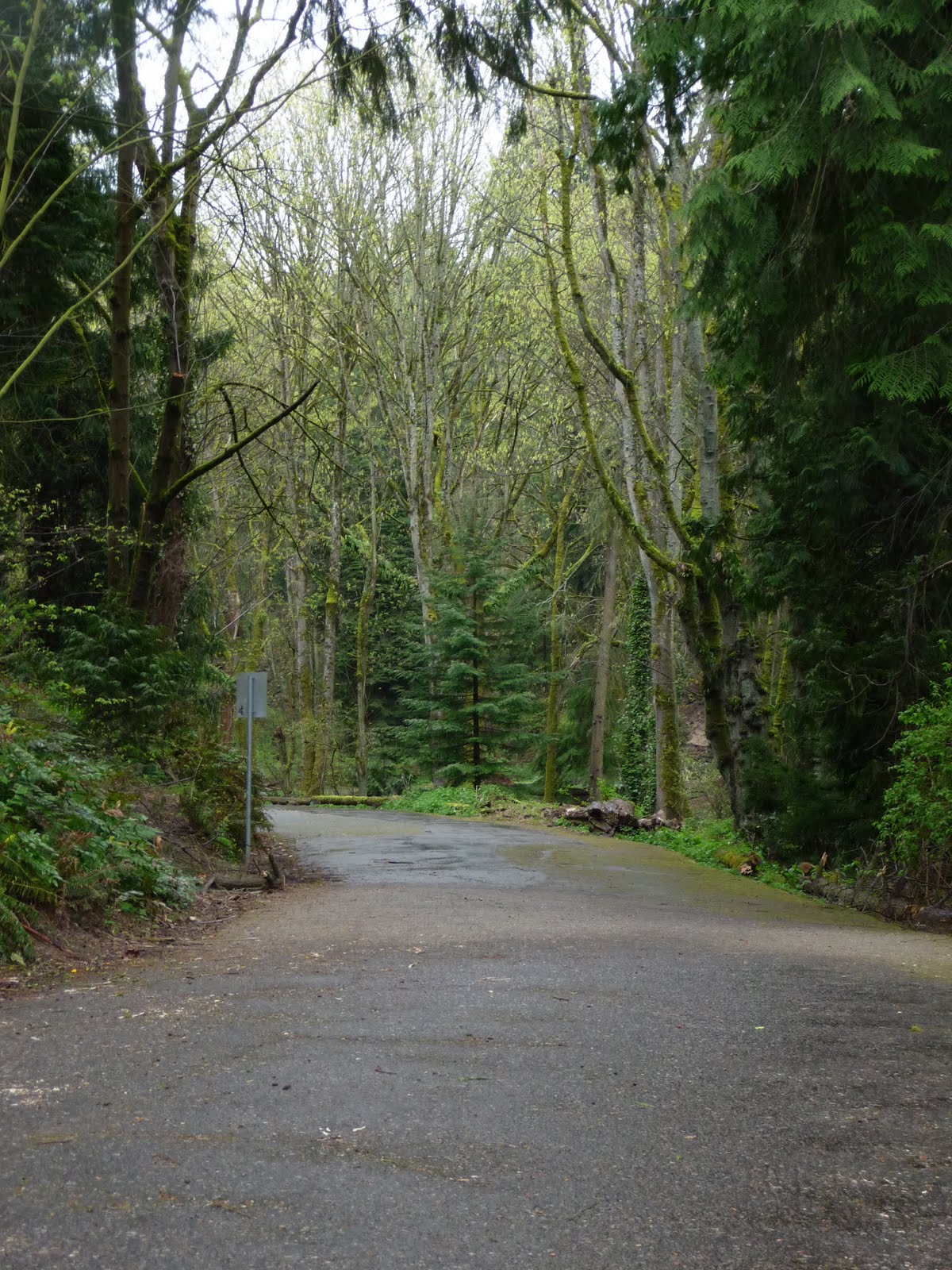 bike route around lake washington bike route around lake washington