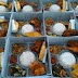 Daftar Menu Catering Nasi Box Jogja (desember 15)