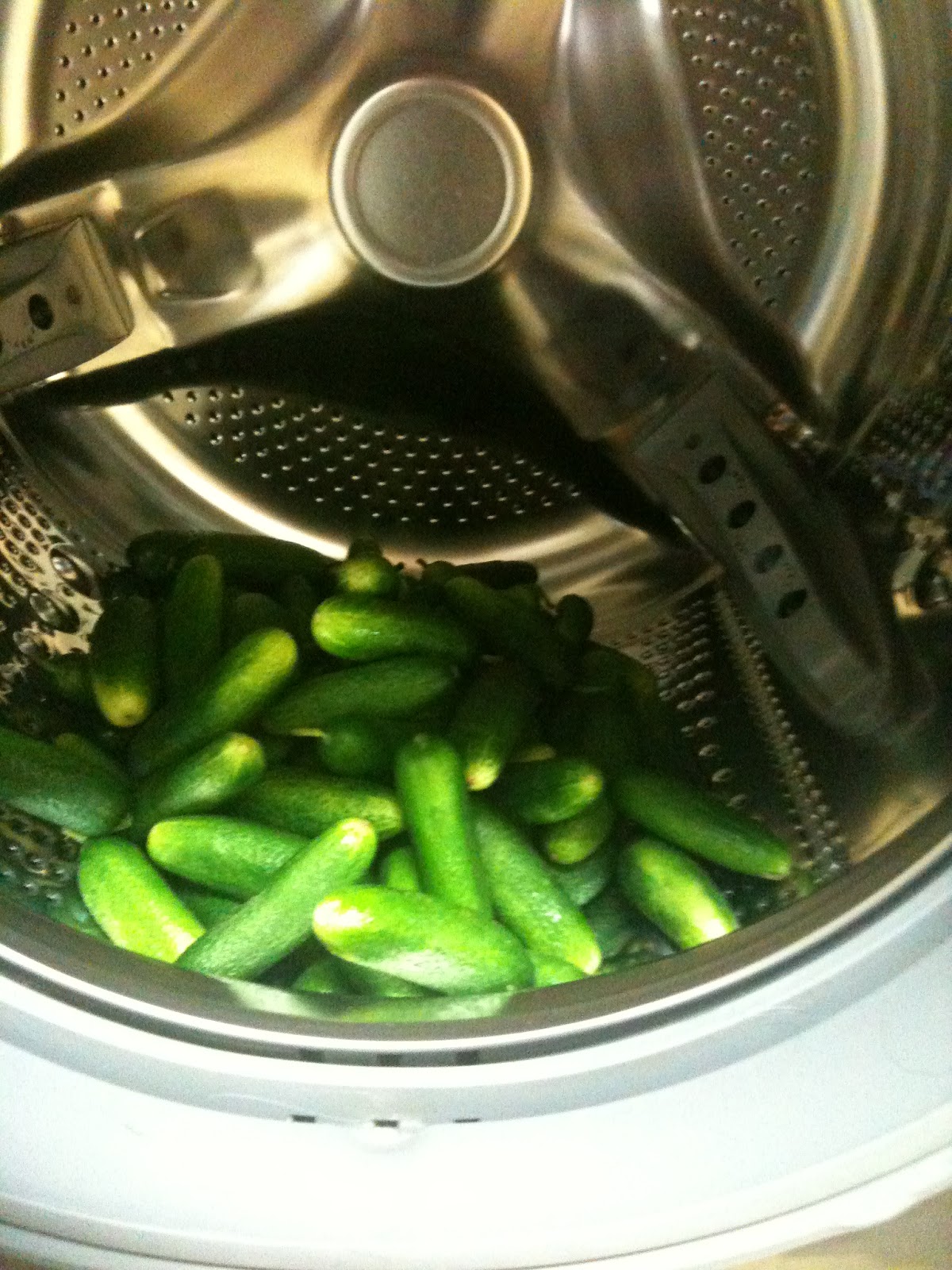 Southwest Edmonton Farmers' Market Recipe Washing Machine Dill Pickles