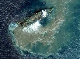 earth google funny things animals