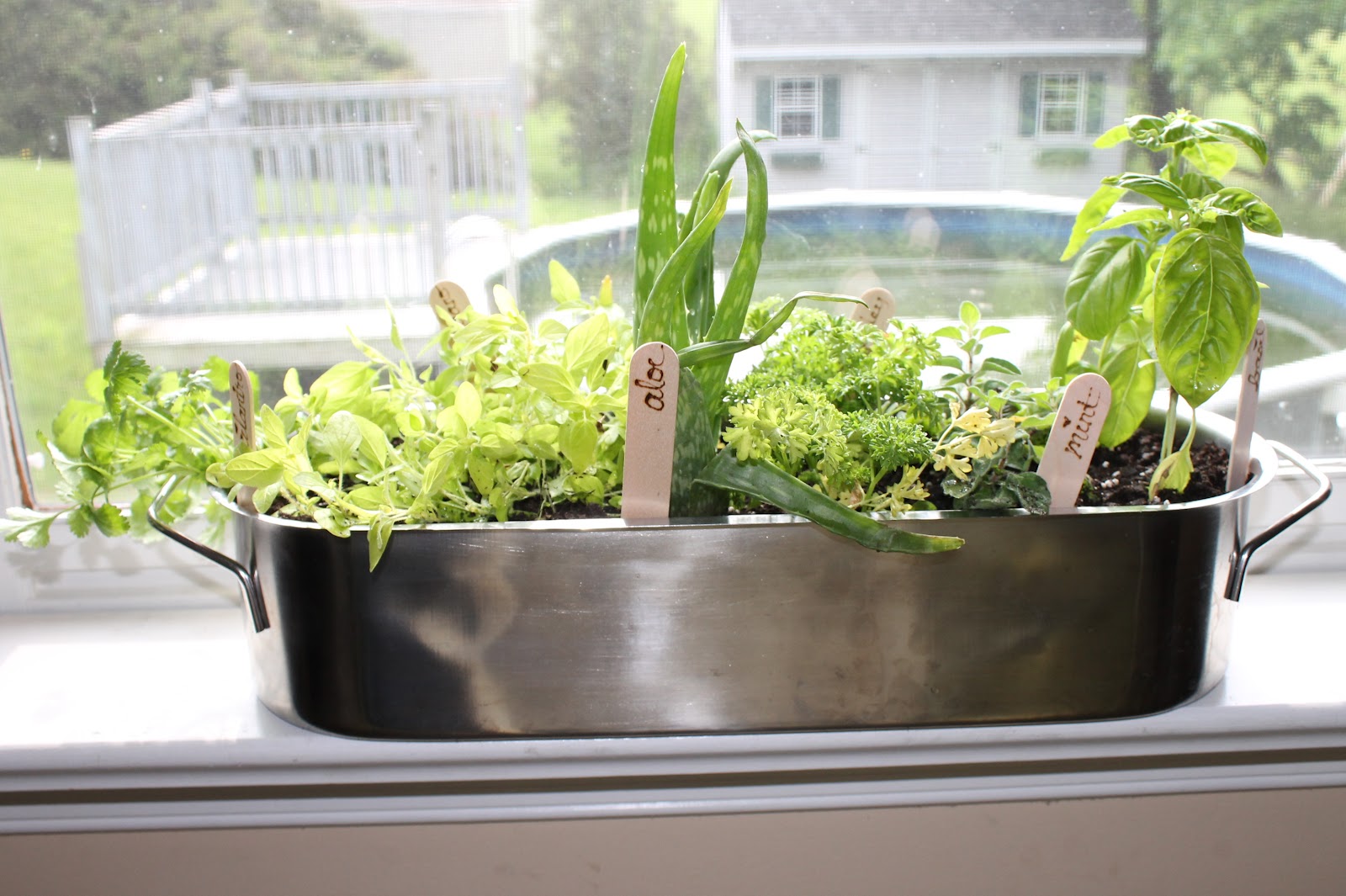 Mother's Day Herb Garden Bella Caiden