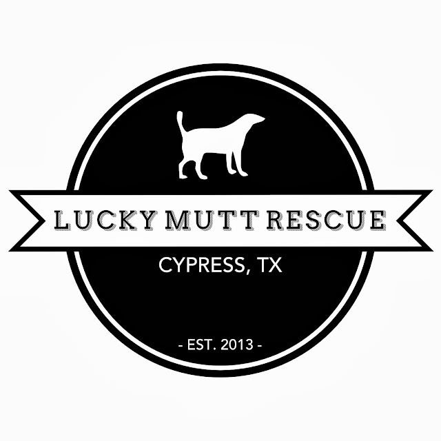 Hand of Kate Lucky Mutt Rescue