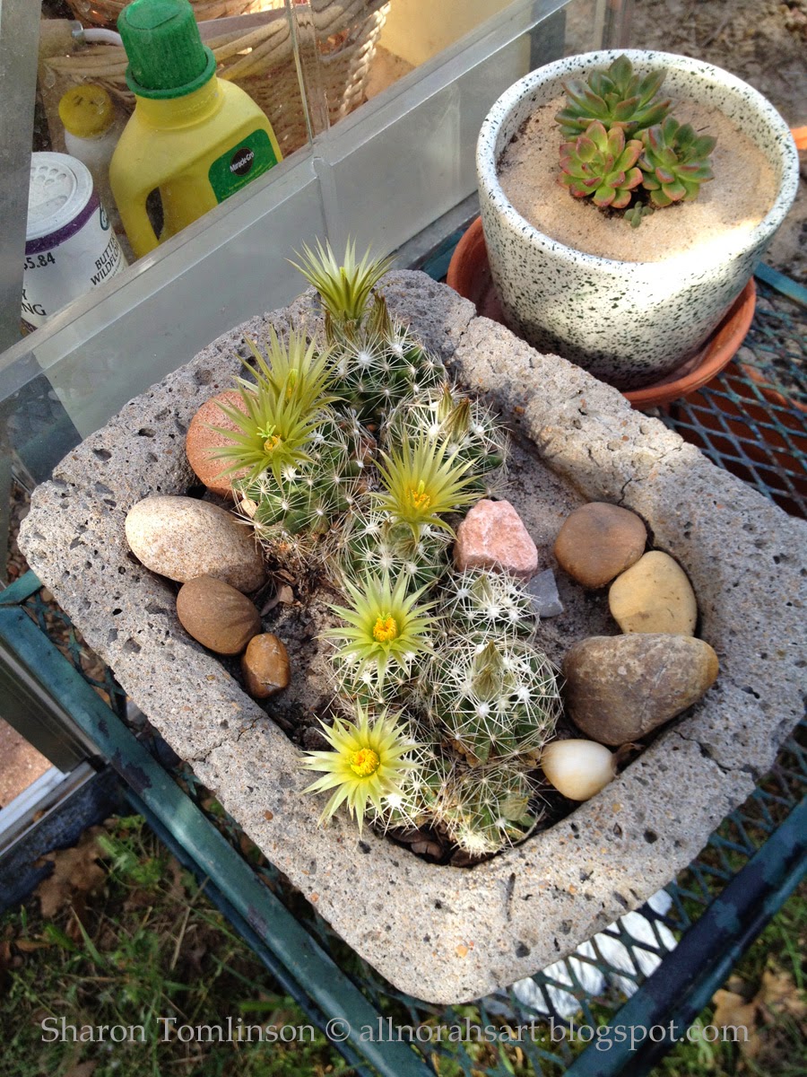 Cactus by Sharon Tomlinson