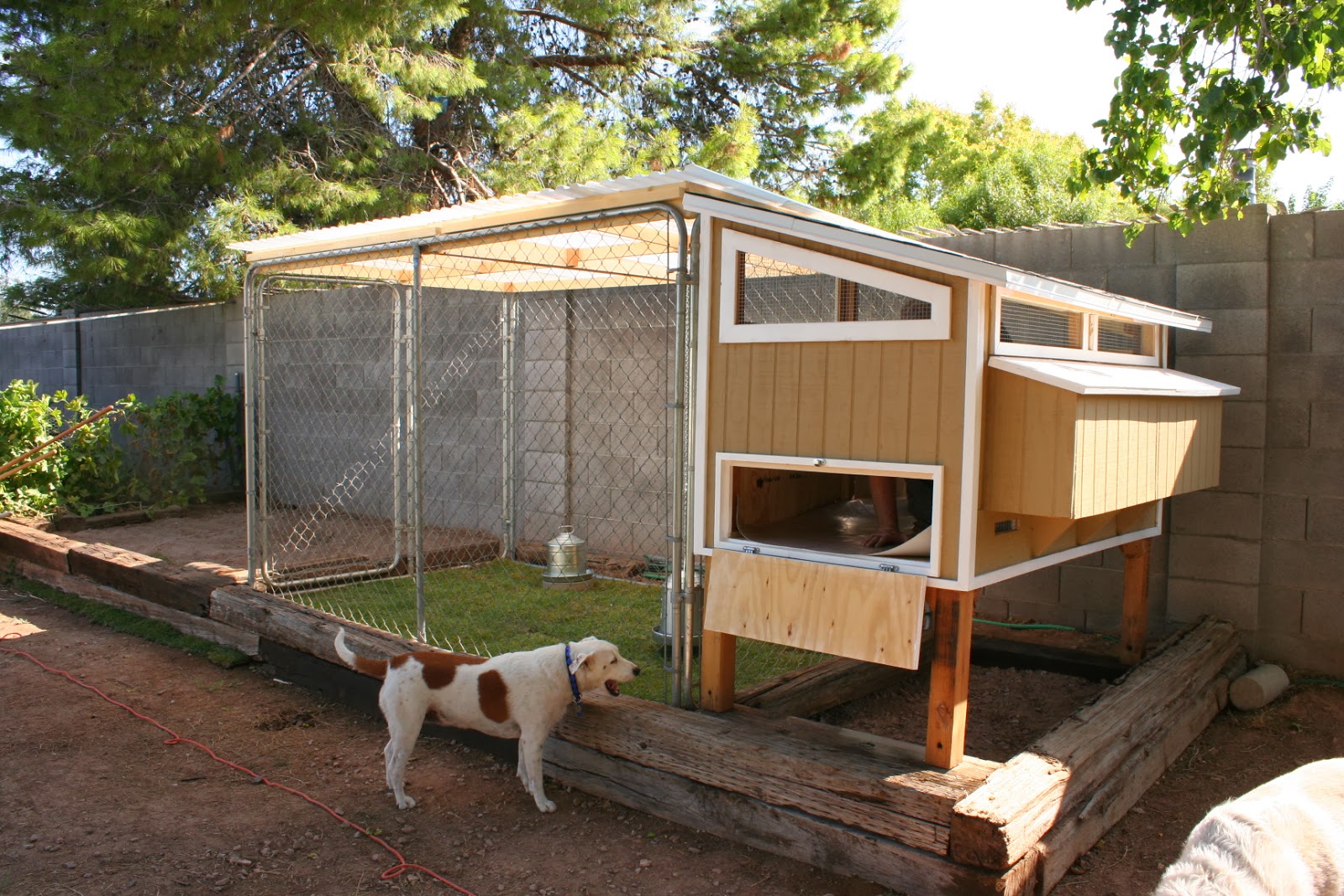 Chicken House Plans: Simple Chicken Coop Designs