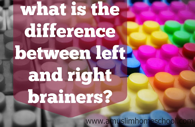 whats the difference between left and right brain learners?