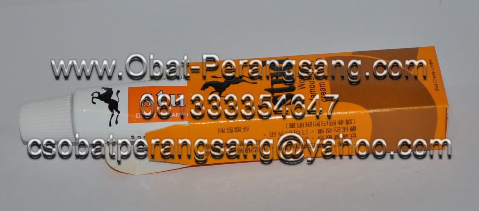 nany kosmetik stud kuda jantan warna kuning krim nany kosmetik stud kuda jantan warna kuning krim