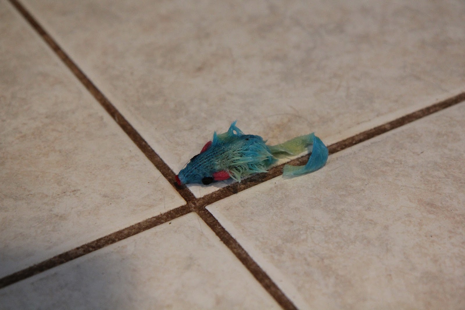 A wet and ruined cat toy on the floor