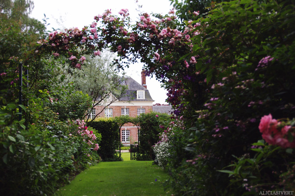 aliciasivert, alicia sivertsson, Les Jardins d'Angelique, normandie, normandy, france, frankrike, trädgård, trädgårdar, garden, gardens, rose, roses, flowers, gardening, flower, blommor, trädgårdskonst, växtlighet, rosor, gate, grind