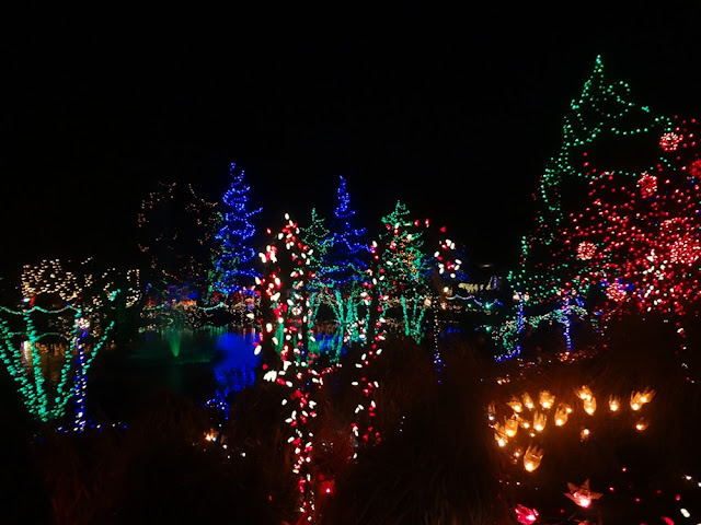 vandusen botanical garden festival of lights