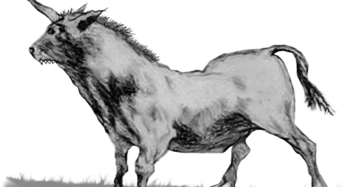 Mitos & Leyendas De Chile El Camahueto Destructor