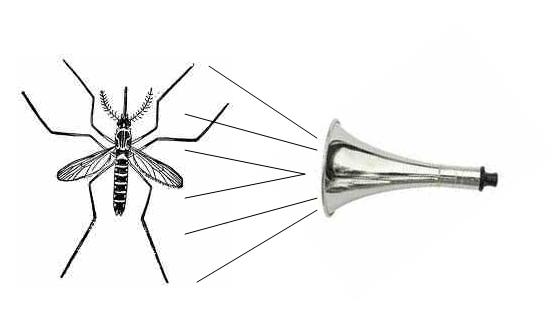 Anti mosquito for pc
