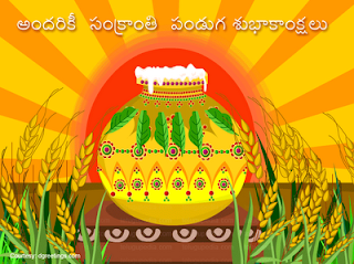 Makar Sankranti 2013 Pongal Greetings Wallpapers