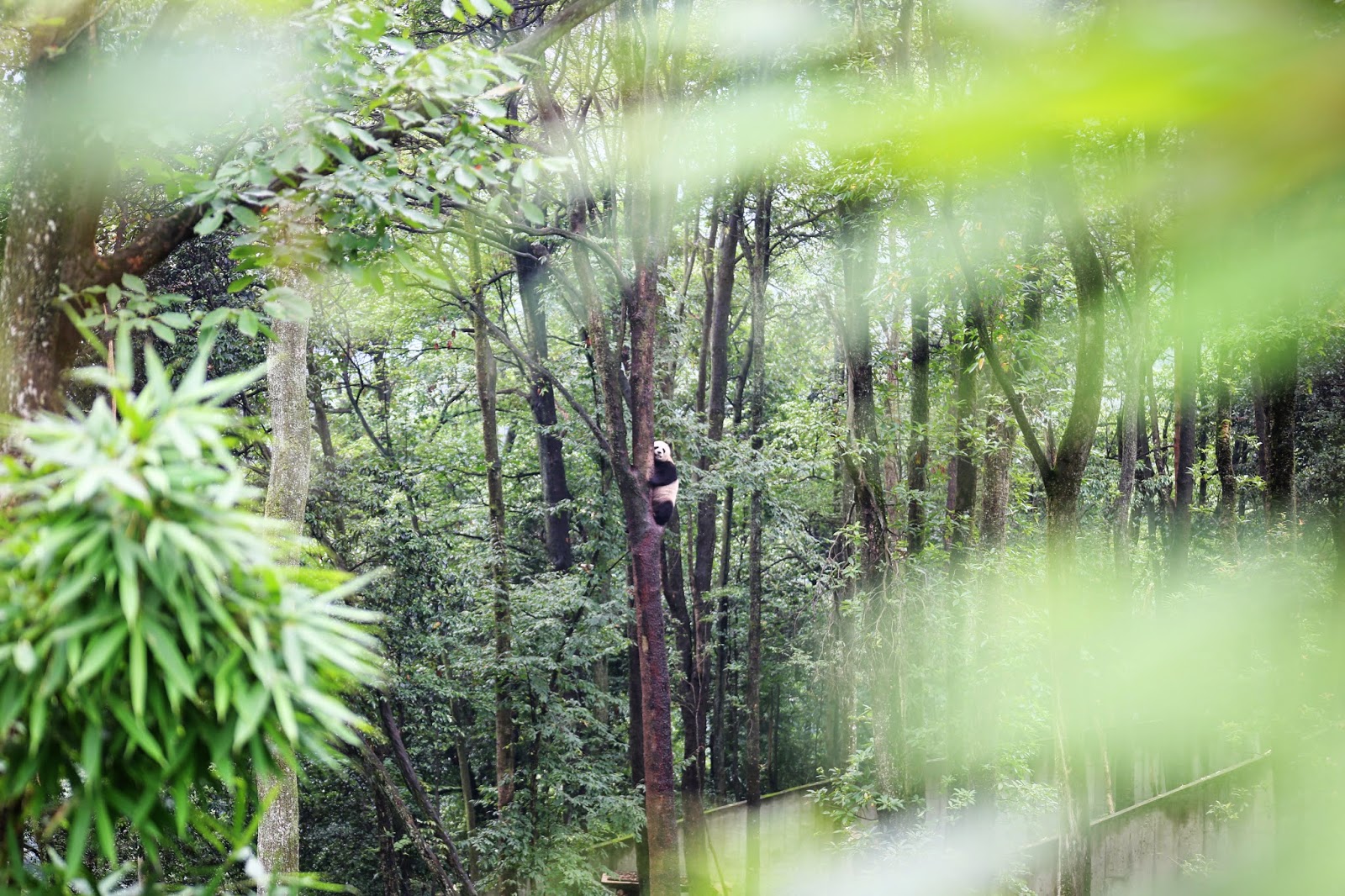 Jogos de slots de cassino 10x Play