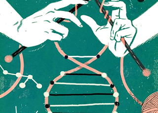 riprogrammare-le-cellule riprogrammare le cellule