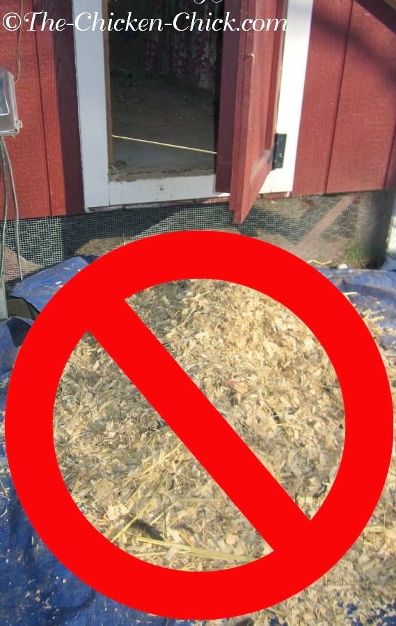 The Deep Litter Method of Waste Management in Chicken Coops The Chicken Chick®