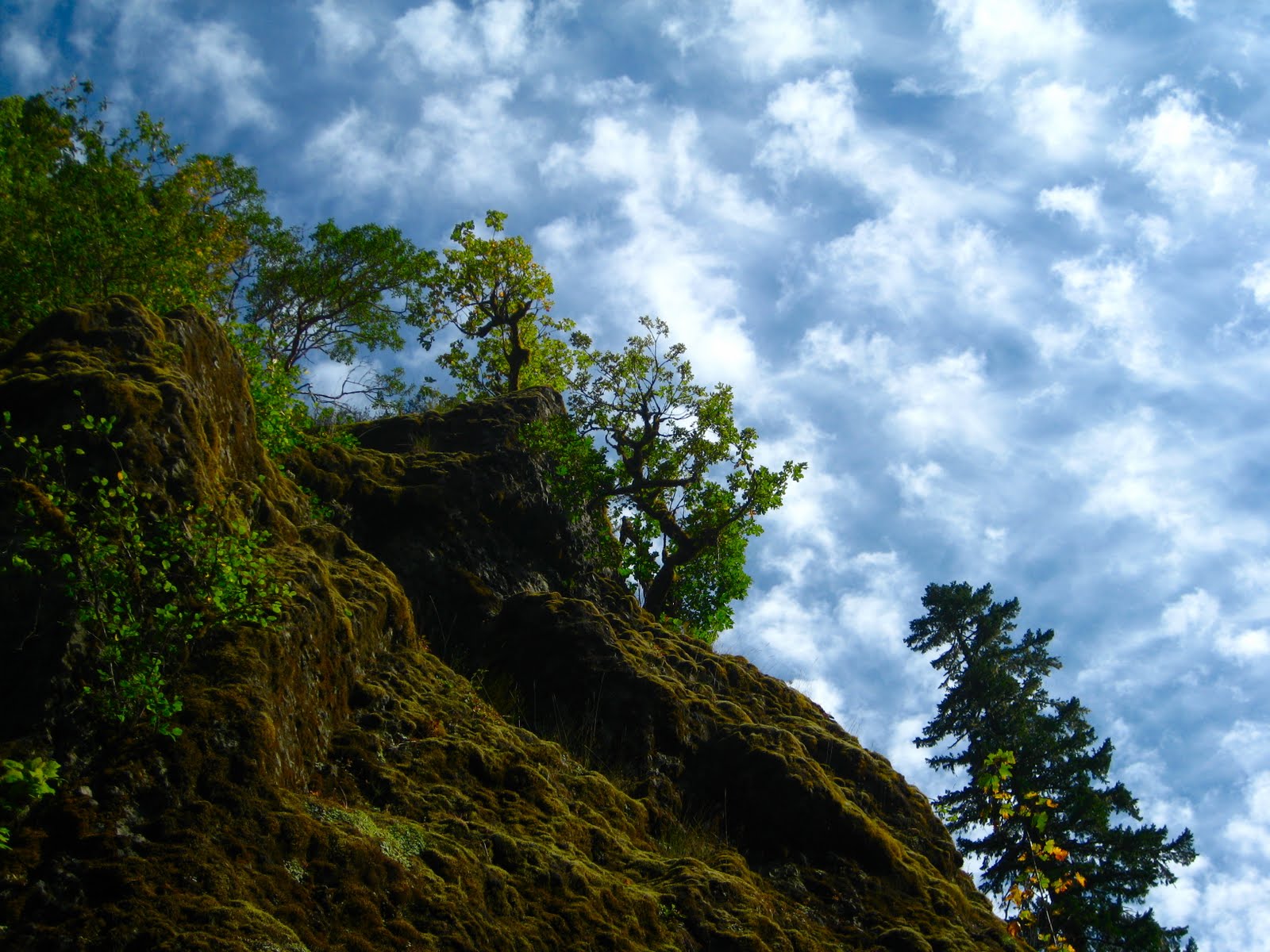 Olympic Peninsula Hikes, Guides and Updates Lake Constance Trail "guide"