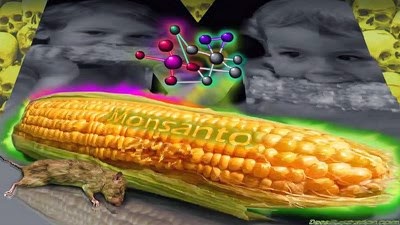 healthy food crops go extinct