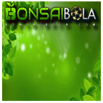 BonsaiFollower