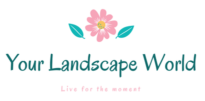 Your Landscape World :: Live for the moment !