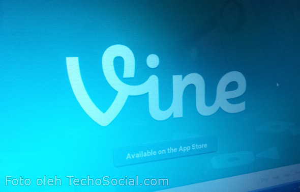 vine vine