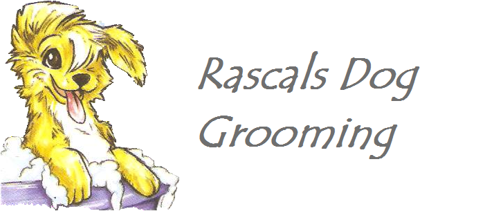 Rascals Dog Grooming