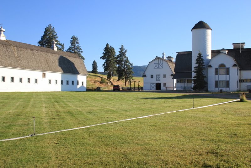 Big Sky Country News Chief Joseph Ranch in the Summer!