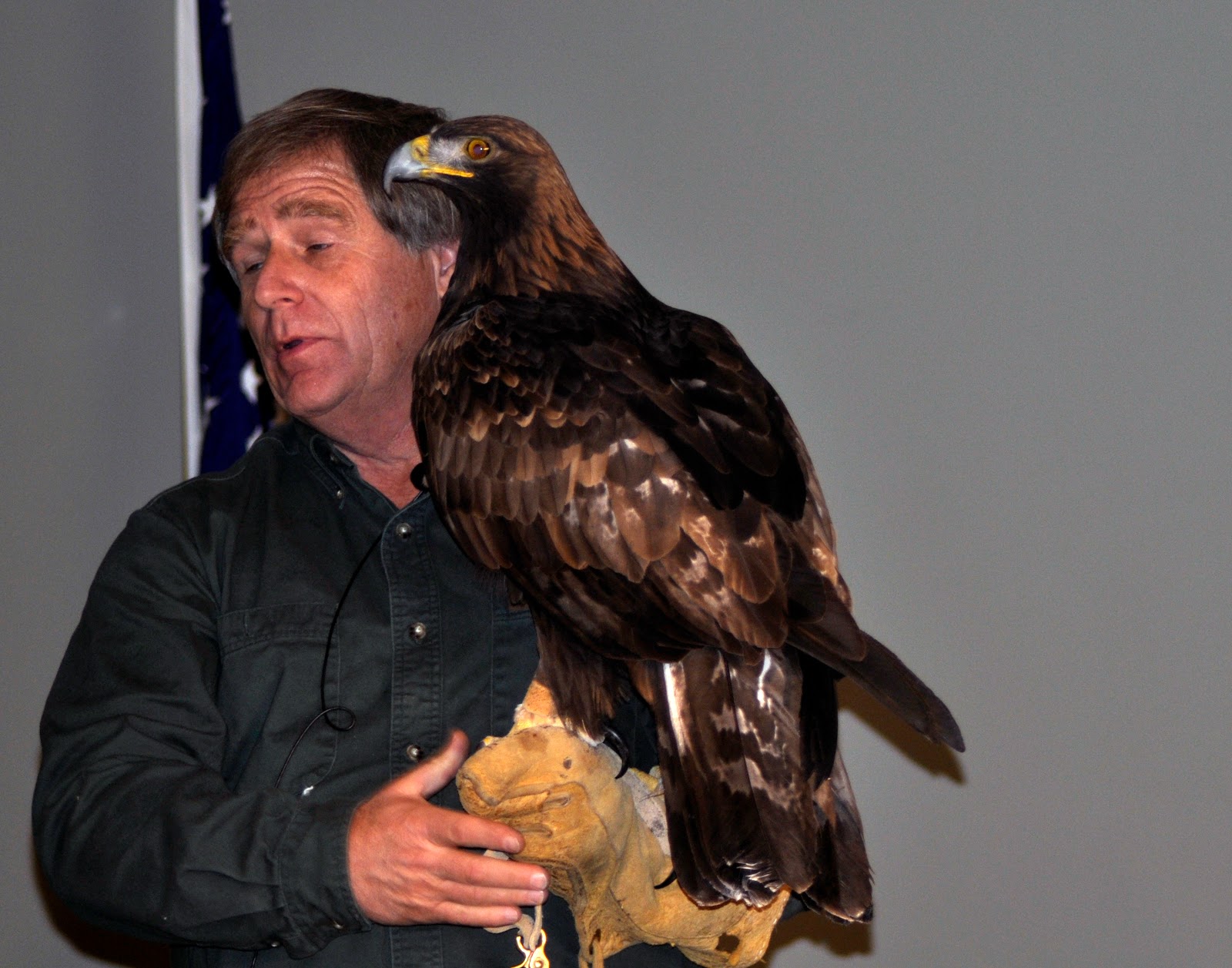 Eagle essay in english for class 1 picture