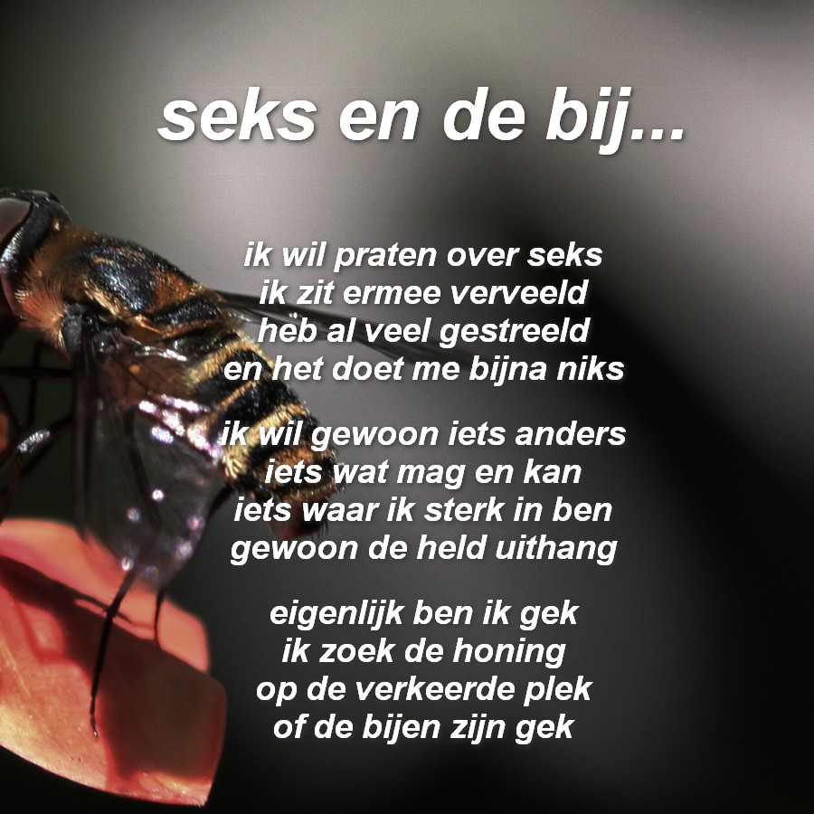 gedichten humor vriendschap gedichten humor vriendschap