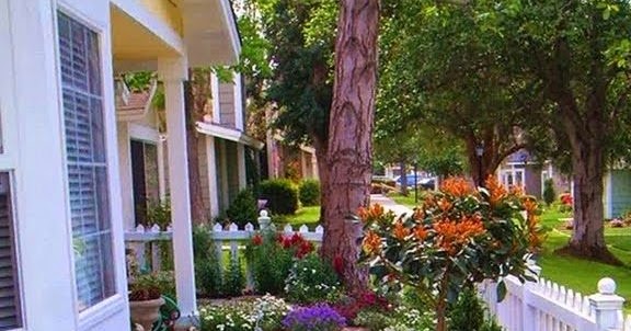 mostbeautifulbackyards: Gorgeous outdoor garden with wildflowers - Home