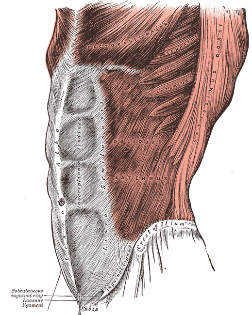 core