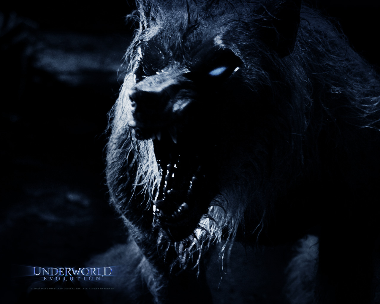 A MILLION OF WALLPAPER... Underworld Evolution Wallpaper