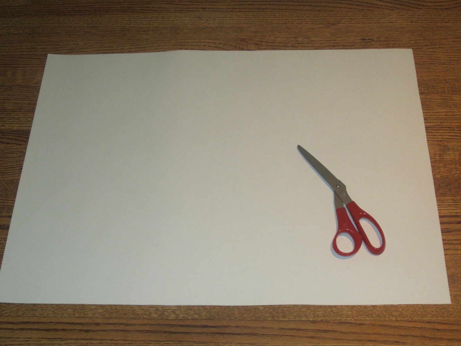 what size is posterboard